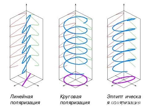 Виды поляризации